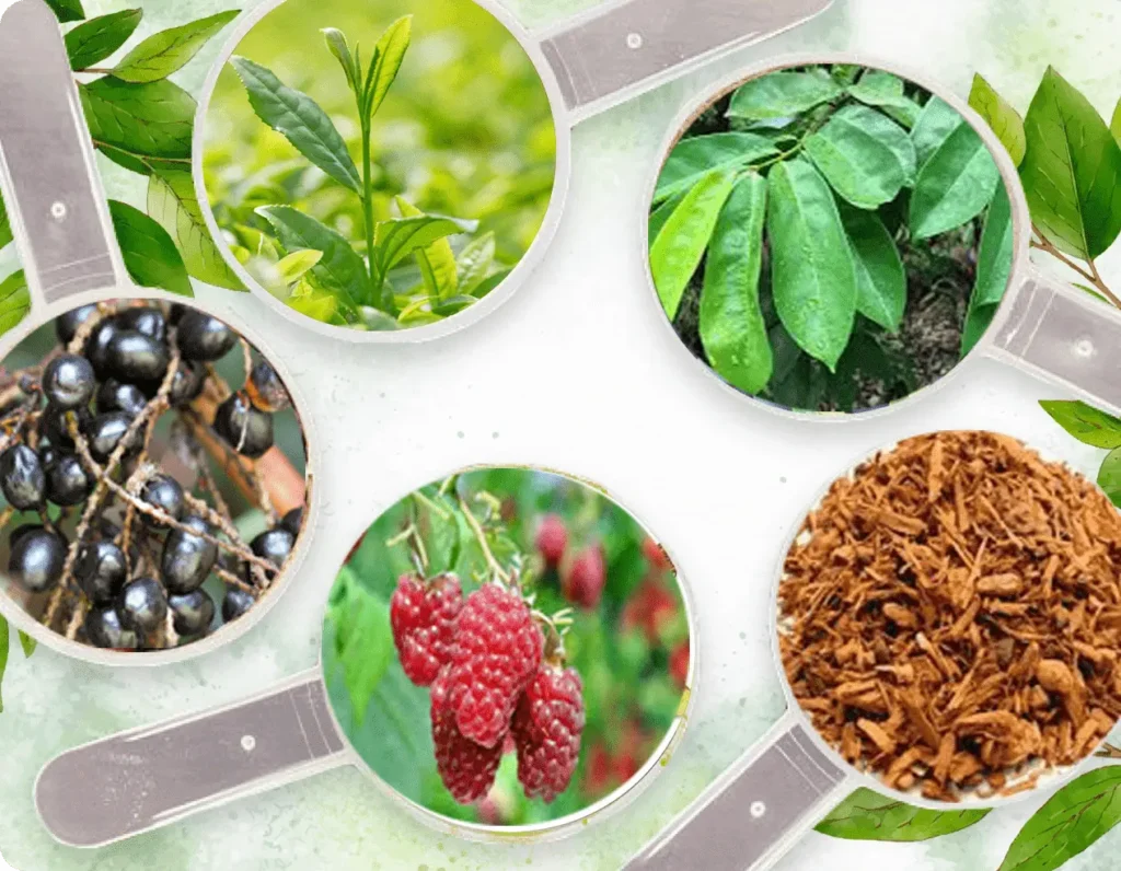 prosta peak ingredients banner