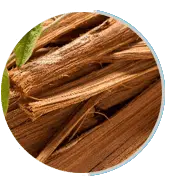 prosta peak ingredients cats claw